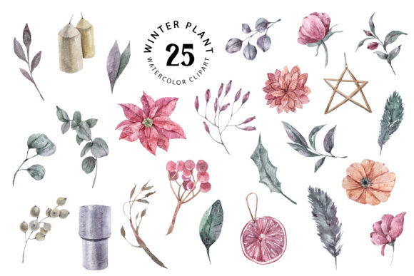 Download Christmas Watercolor Plants Clipart - Watercolor plants Collection