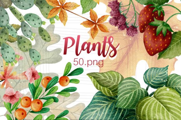 Download Watercolor Plants - Watercolor plants Collection