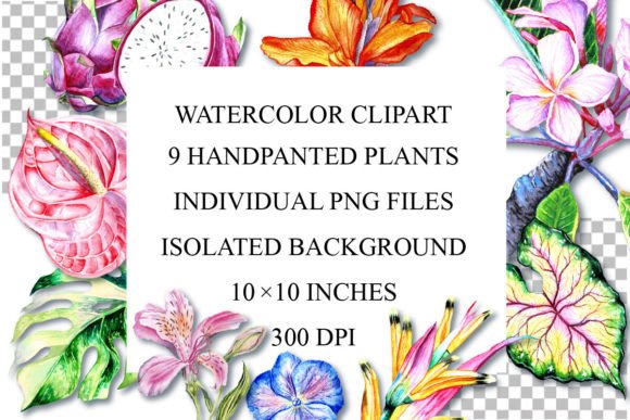 Download Watercolor Plants Clipart, PNG - Watercolor plants Collection