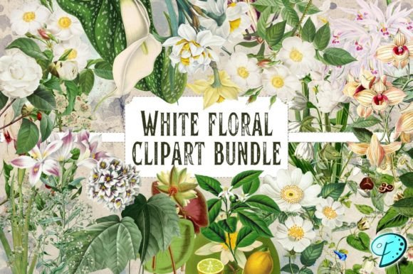 Download White Floral Vintage Clipart Bundle - Vintage clipart Collection